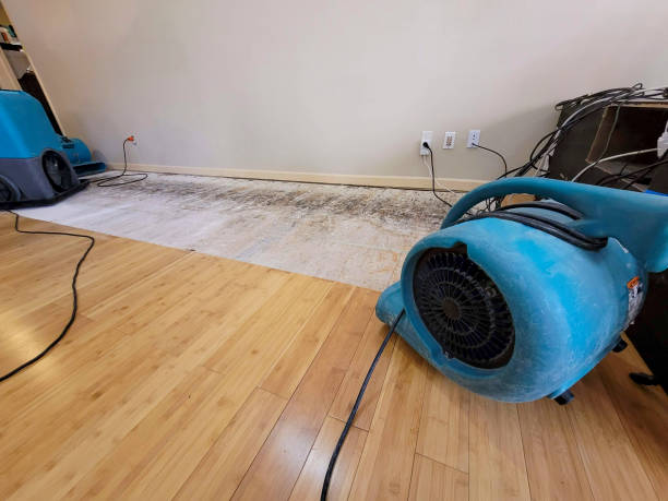 Professional Emergency Water Damage technician working in Green Pond, AL